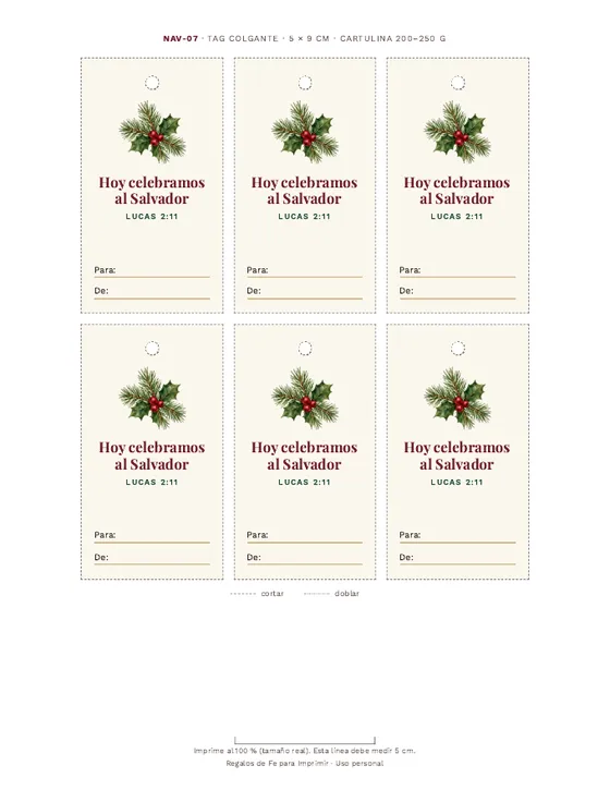 Hoja de la colección Navidad y Año Nuevo