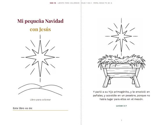 Hoja de la colección Navidad y Año Nuevo
